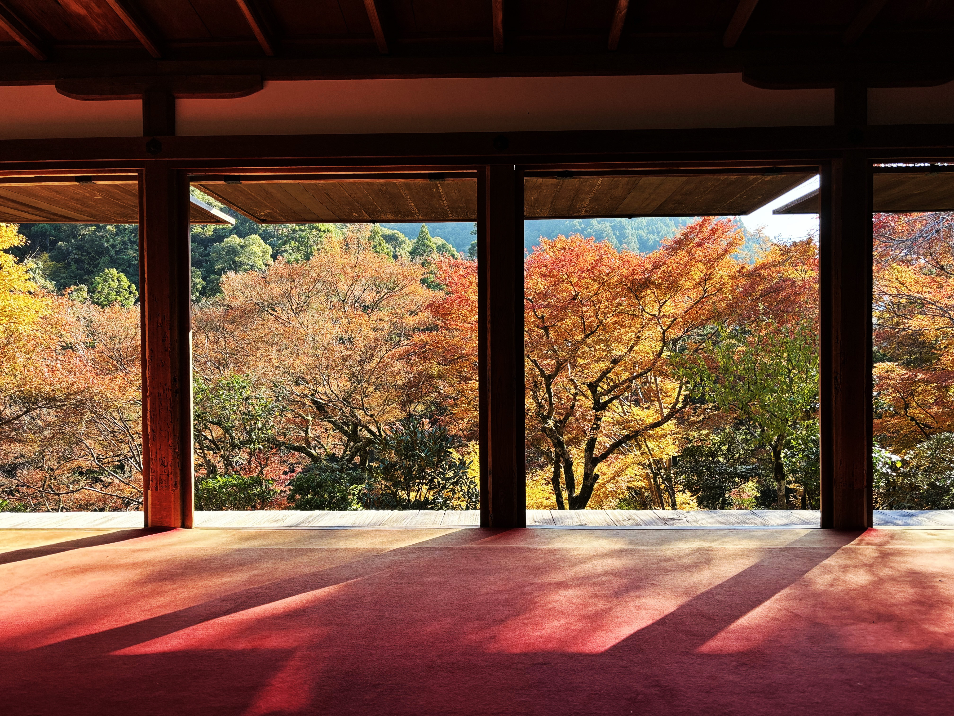 KYOTO